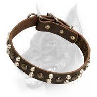 Custom Studded Leather Dog Collar for Doberman