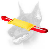 Super-Solid Dog Bite Tug with Two Handles