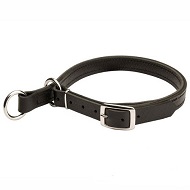 Adjustable Leather Slip Collar with Solid Nickel-plated hardware