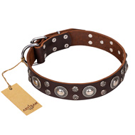 'Age of Beauty' FDT Artisan Incredible Studded Brown Leather Doberman Collar