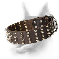 Extra Wide Doberman Dog Collar with 4 rows of Spikes