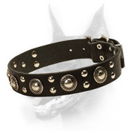 'Rock n Roll' Doberman Dog Collar with Metal Decoration