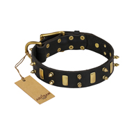 "Medieval Style" FDT Artisan Leather Doberman Collar with Brass Plates and Spikes