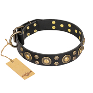 'Baroque Chic' FDT Artisan Studded Black Leather Doberman Dog Collar