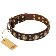 'Flower Melody' FDT Artisan Brown Leather Doberman Collar with Mixed Studs