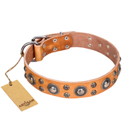 'Extra Sparkle' FDT Artisan Handcrafted Doberman Tan Leather Dog Collar