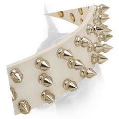Nickel plated spikes set in three rows