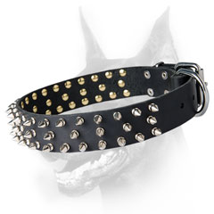 Spiked leather Doberman collar made of high quality stuff