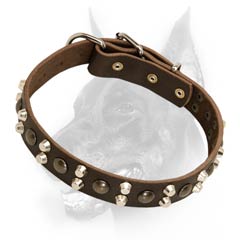 Leather dog collar with spikes and studs