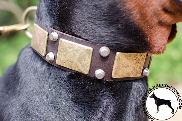 Stylish Doberman collar with nickel plated pyramids and brass plates