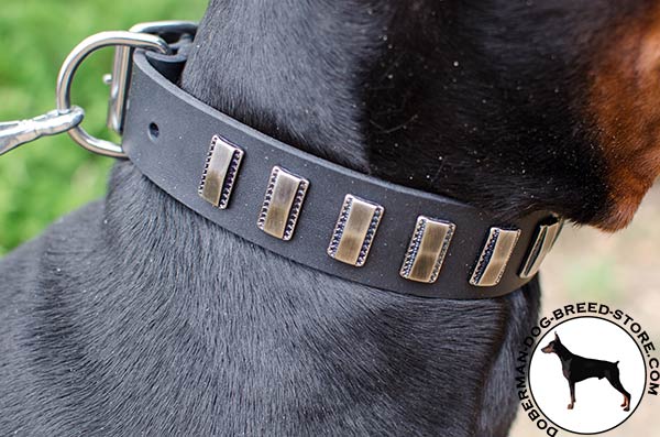 Shining nickel plated plates on collar for Doberman breed