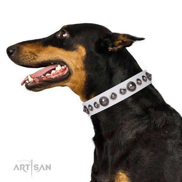 Exceptional decorated leather dog collar for fancy walking