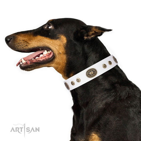 Designer adorned genuine leather dog collar for everyday walking
