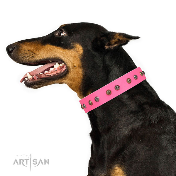 Everyday walking decorated dog collar made of durable genuine leather