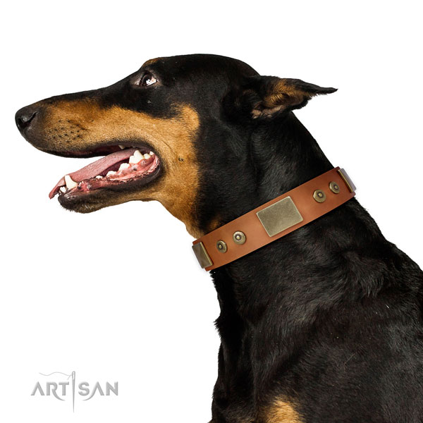 Quality daily use dog collar of natural leather