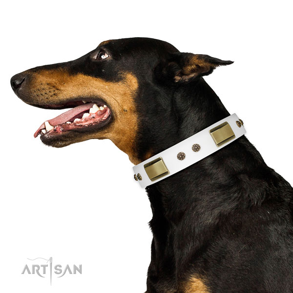Handy use dog collar of natural leather with top notch studs