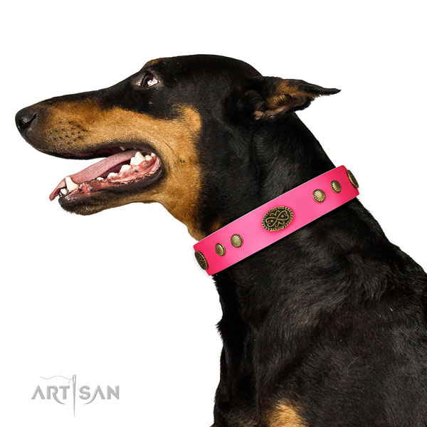 Rust-proof hardware on full grain leather dog collar for everyday walking