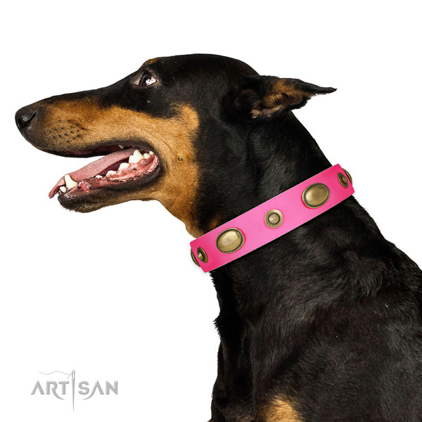 Daily walking dog collar of leather with fashionable studs