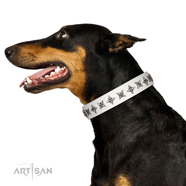 Top notch leather dog collar with trendy adornments