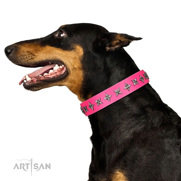 Finest quality genuine leather dog collar with exceptional adornments