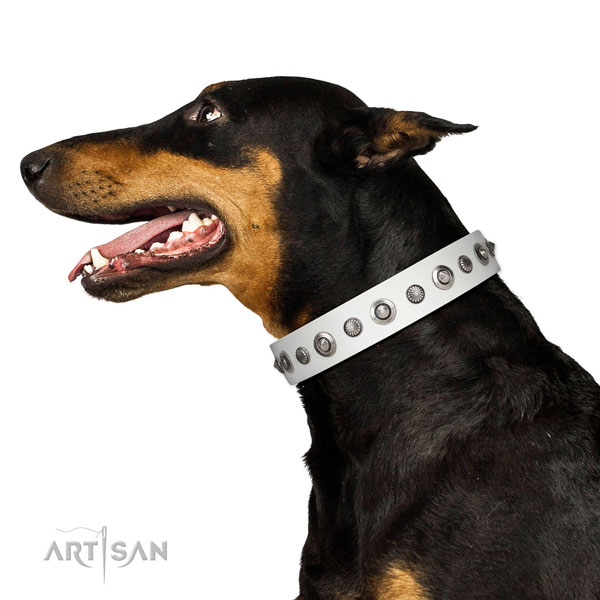 Full grain leather collar with reliable hardware for your impressive canine