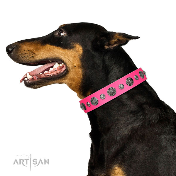 Embellished full grain leather dog collar with corrosion resistant hardware