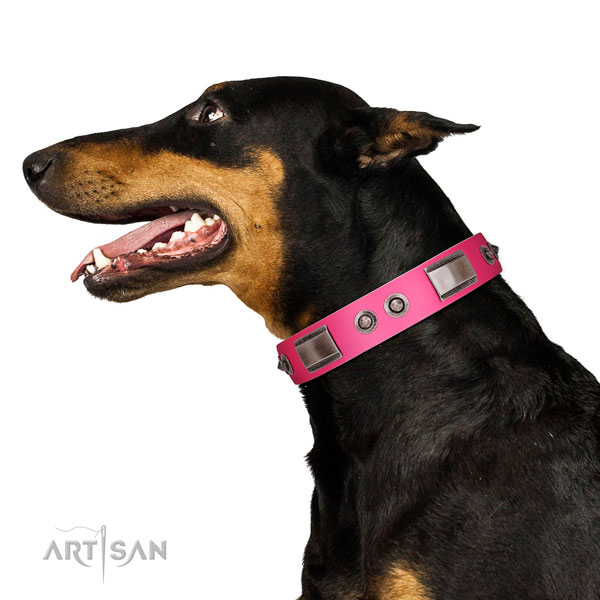 Incredible genuine leather dog collar with embellishments