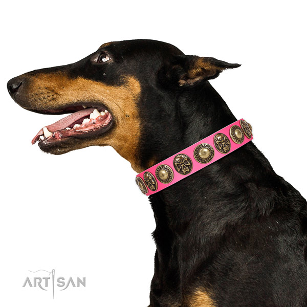 Exceptional full grain natural leather collar for your stylish canine