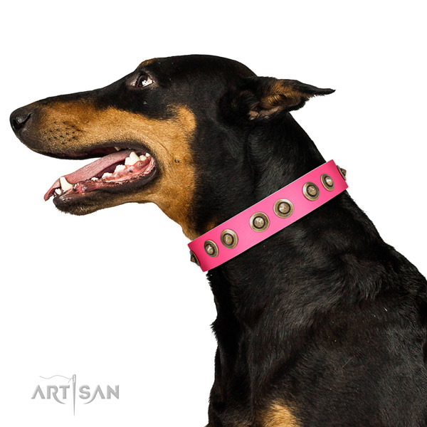 Genuine leather collar with embellishments for your impressive canine