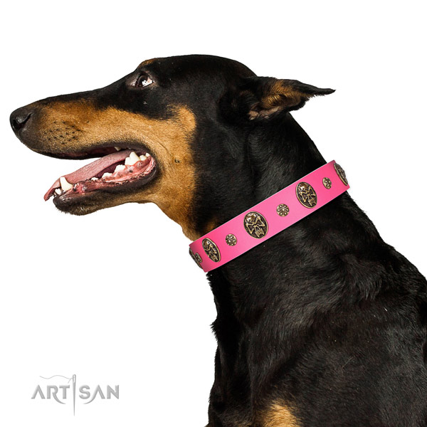 Adjustable dog collar created for your beautiful four-legged friend