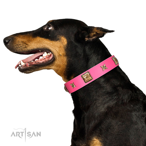 Full grain leather dog collar of high quality material with fashionable embellishments