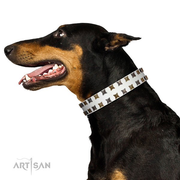 Reliable leather dog collar with adornments for your pet