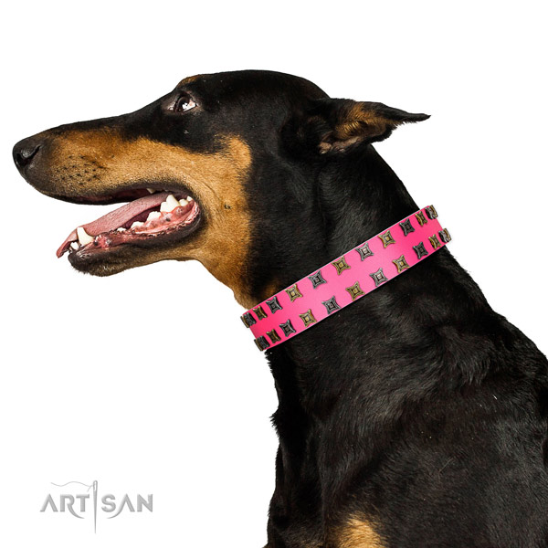 Top notch genuine leather dog collar with adornments for your pet