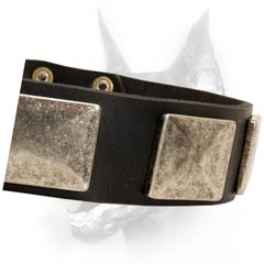 Hand crafted leather dog collar