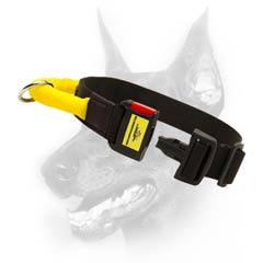 First-class nylon dog collar