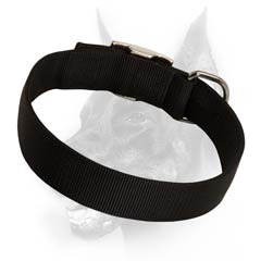 Everyday reliable nylon collar 