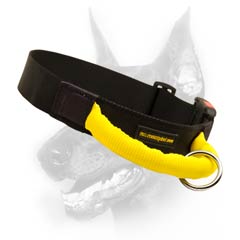 Classy nylon dog collar