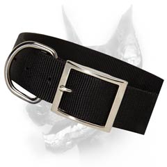 Quality nylon dog collar