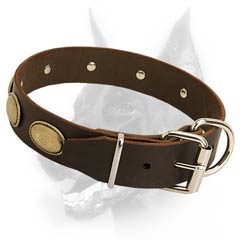 Adjustable leather dog collar for noble Dobermans