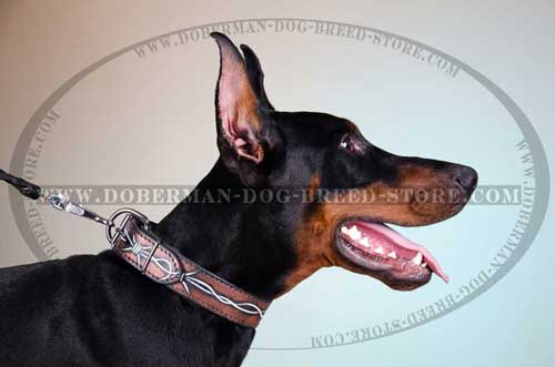 Most Stylish Leather Dog Collar with Painting