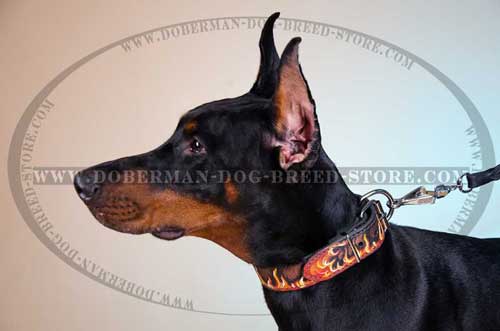 Hand Painted Leather Doberman Collar