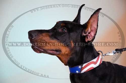 High Quality Leather Dog Collar for Dobermans