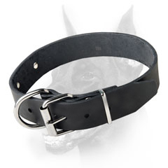 Reliable leather dog collar for regular wear