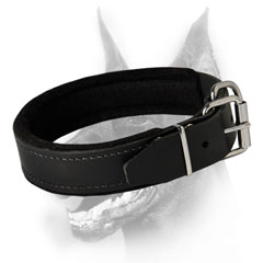 Handmade felt padded leather collar