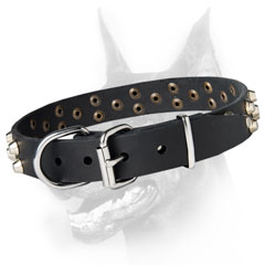 Custom made leather dog collar for Dobermans