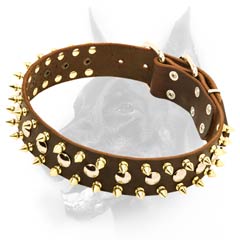 Spiked & studded leather dog collar