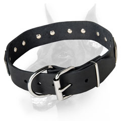 Dressy leather dog collar for walking
