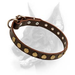 Extra ordinary leather dog collar