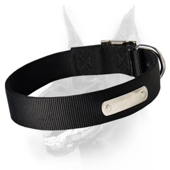 High quality nylon collar