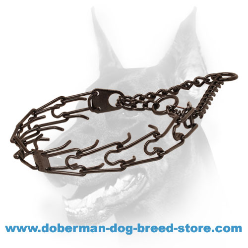 Stainless Steel Dog Pinch Collar in Black for Dobermans Doberman dog